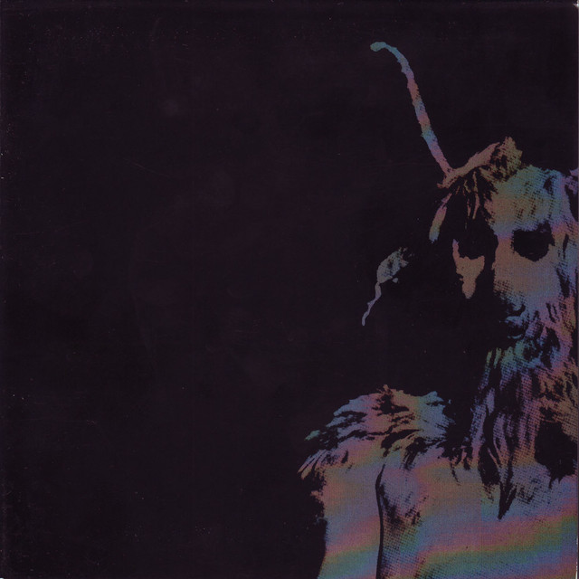 Ii cover