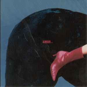 Amor album