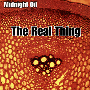 The Real Thing album