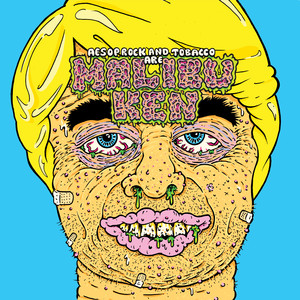 Malibu Ken album