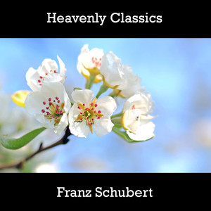 Heavenly Classics Franz Schubert album