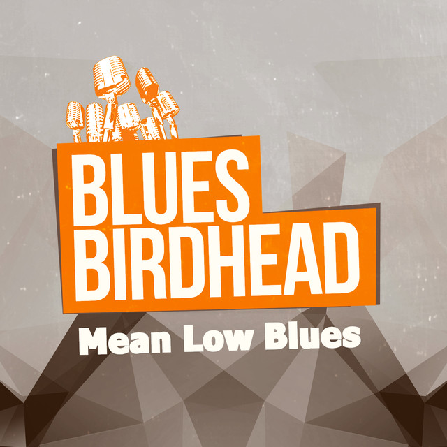 Blues Birdhead Photo