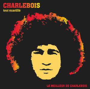 Tout écartillé cover