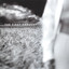 The First Harvest Albumcover