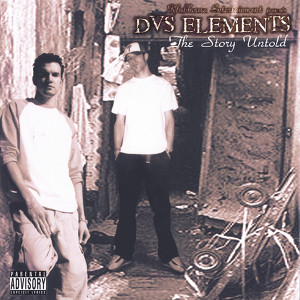 DVS Elements