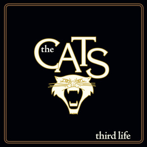 Third Life cover