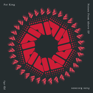 Pat King