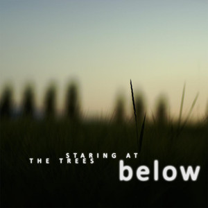 Staring At The Trees Albumcover