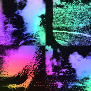 Wysing Forest cover