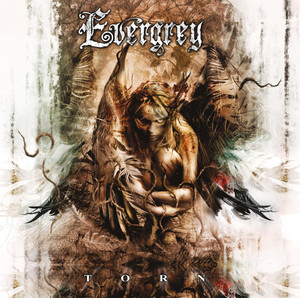 Torn album