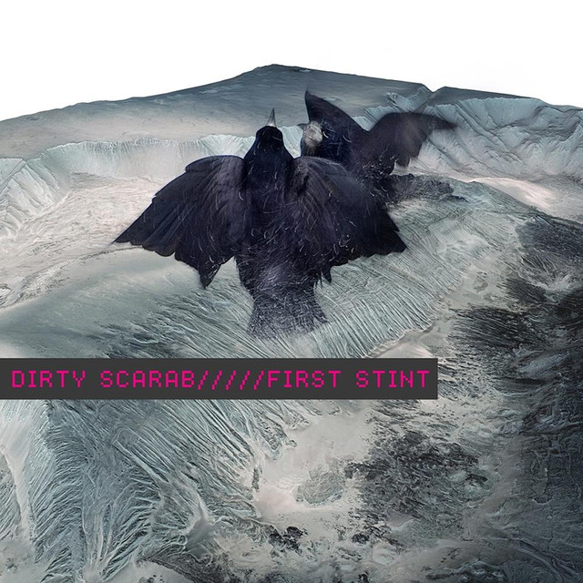 Dirty Scarab Photo