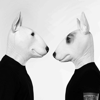Neverdogs Photo