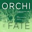 Orchi e fate (Le meravigliose fiabe di perrault) Albumcover