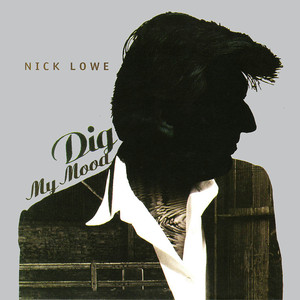 Dig My Mood cover