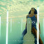 Jugar a la locura cover