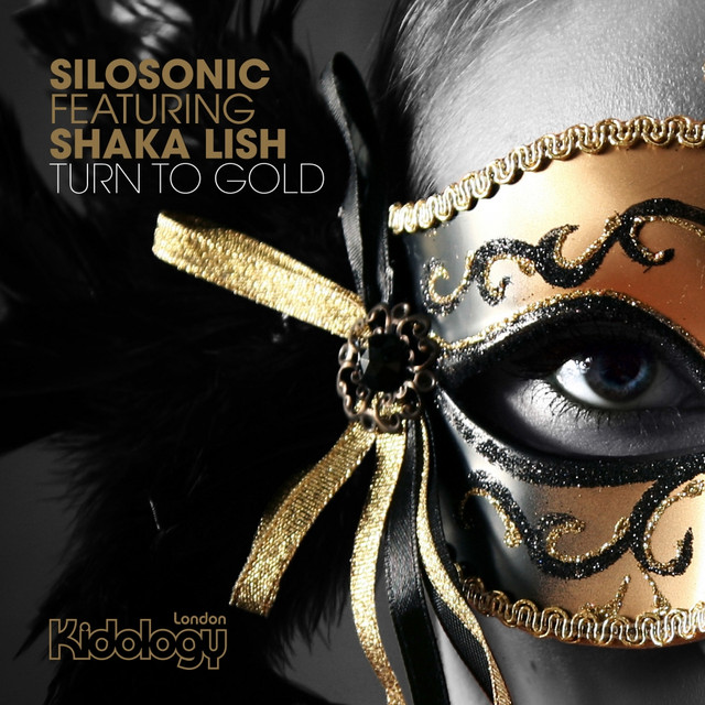 Silosonic Photo