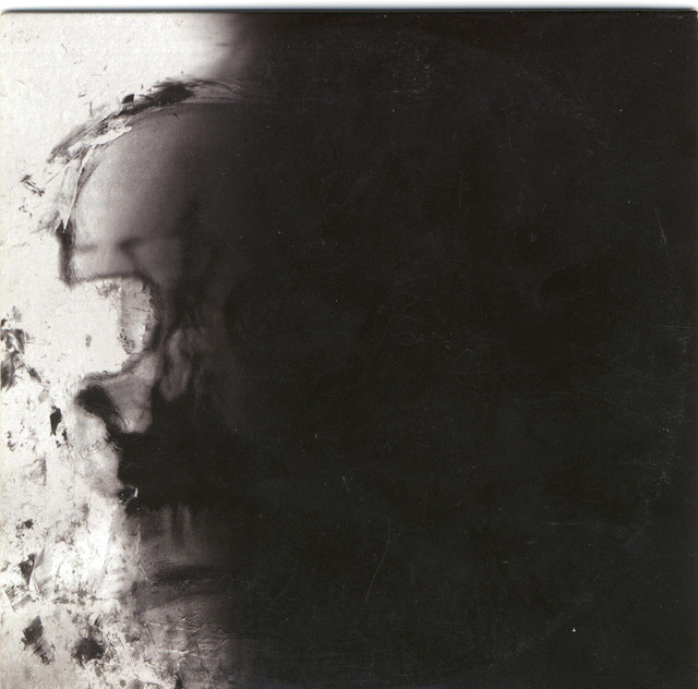 The Pulse Of Decay cover
