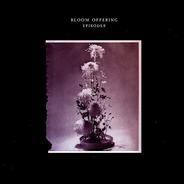Bloom Offering Photo