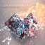 Heart Murmurs cover