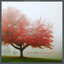 Gathering Leaves (Platinum Edition) Albumcover