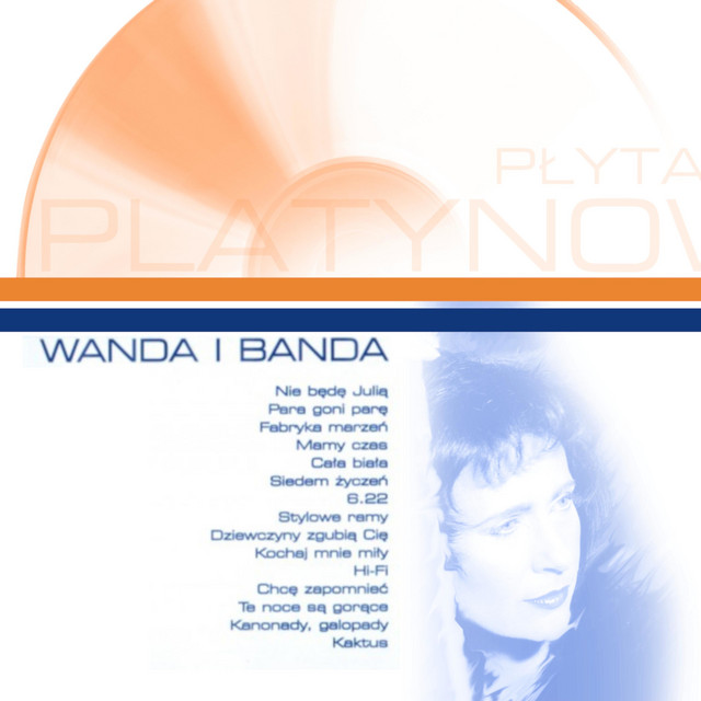 Platynowa Płyta cover