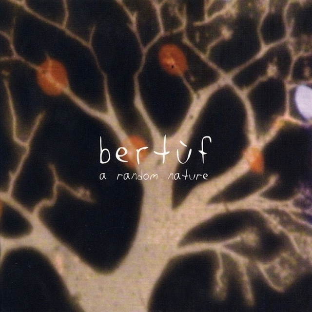 Bertuf Photo