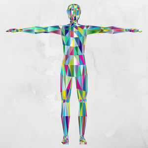 The Body photo
