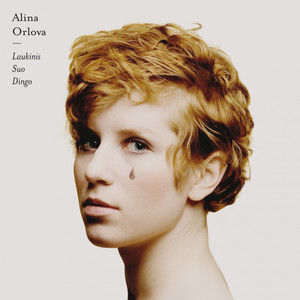 Laukinis šuo dingo cover