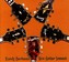 Jazz Thing Ii Albumcover