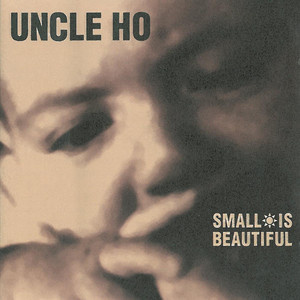 Small Is Beautiful cover
