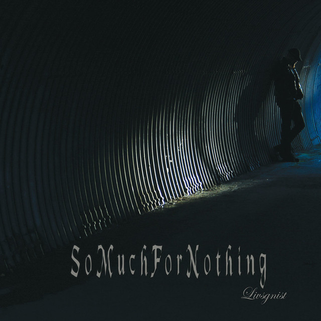 So Much for Nothing Photo