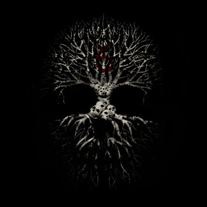 6 cover