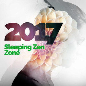 2017 Sleeping Zen Zone album