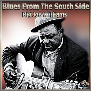 Blues From The South Side album