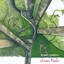 Zonko Querido, Vol. 2 cover