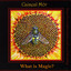 What is Magic? Albumcover