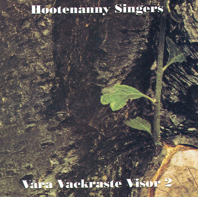 Hootenanny Singers photo