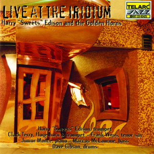 Live at the Iridium cover