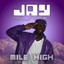 Mile High cover