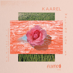 Kaarel