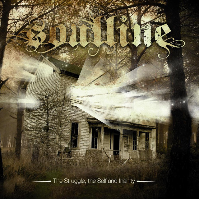 The Struggle, The Self And Inanity cover