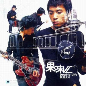 双重生命 cover