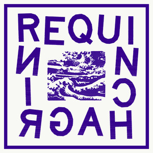 Requin Chagrin Photo