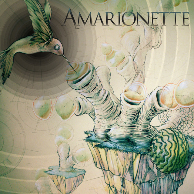 Amarionette cover