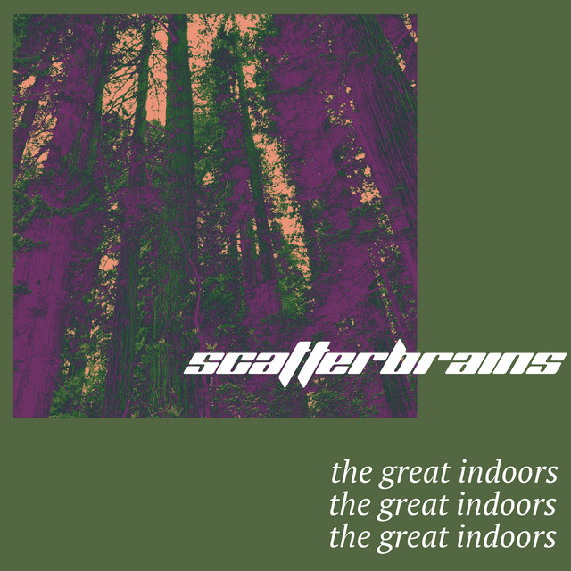 Scatterbrains Photo