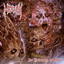 An Epiphany of Hate cover