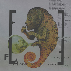 FLAvour of the Weak album