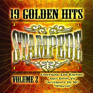 19 Golden Hits Albumcover