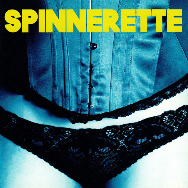 Spinnerette cover