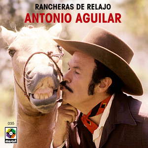 Rancheras de relajo album